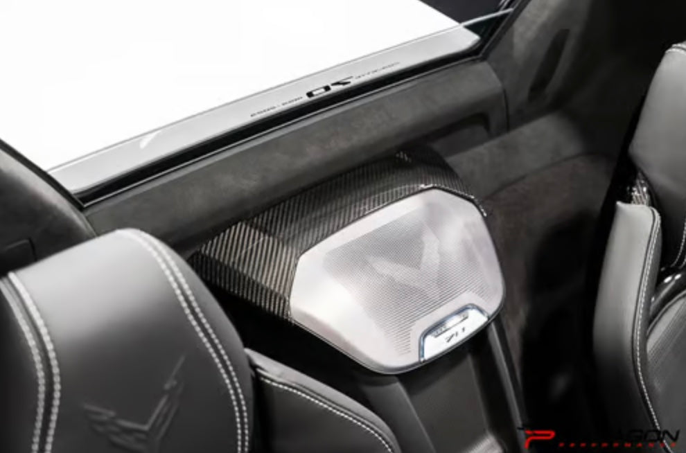 C8 Corvette Carbon Fiber Waterfall Speaker Trim Cover - HTC