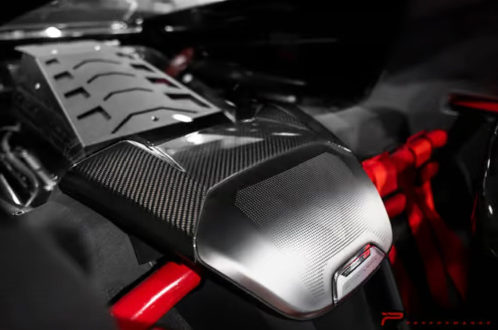C8 Corvette Carbon Fiber Waterfall Speaker Trim Cover